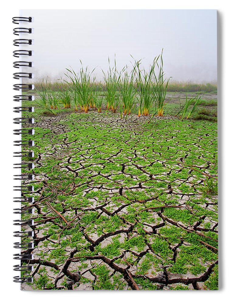 Duck Pond Spiral Notebook featuring the photograph Dry Duck Pond by Anthony Jones