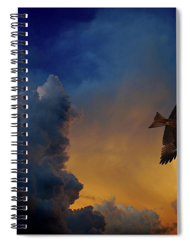 Animal Themes Spiral Notebook featuring the photograph Eagle Over The Top by Gopan G Nair