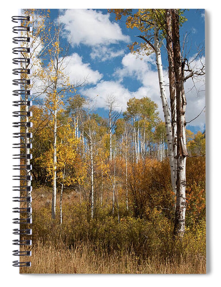 Autumn Spiral Notebook featuring the photograph Early Afternoon Autumn Aspen Meadow by Cascade Colors