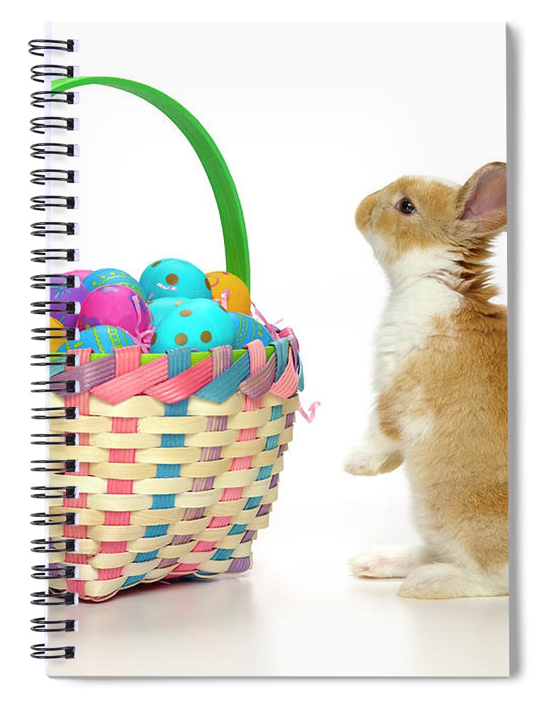Pets Spiral Notebook featuring the photograph Easter Bunny And Basket Of Coloured Eggs by Don Farrall