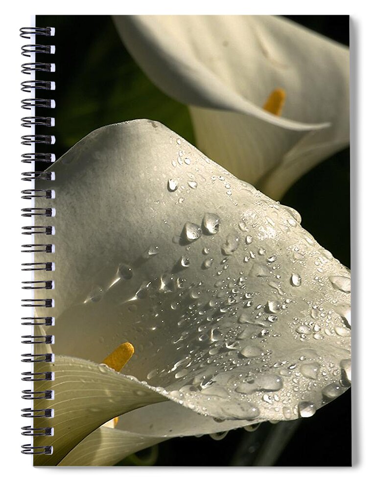 Botanical Spiral Notebook featuring the photograph Easter Rain by Richard Thomas
