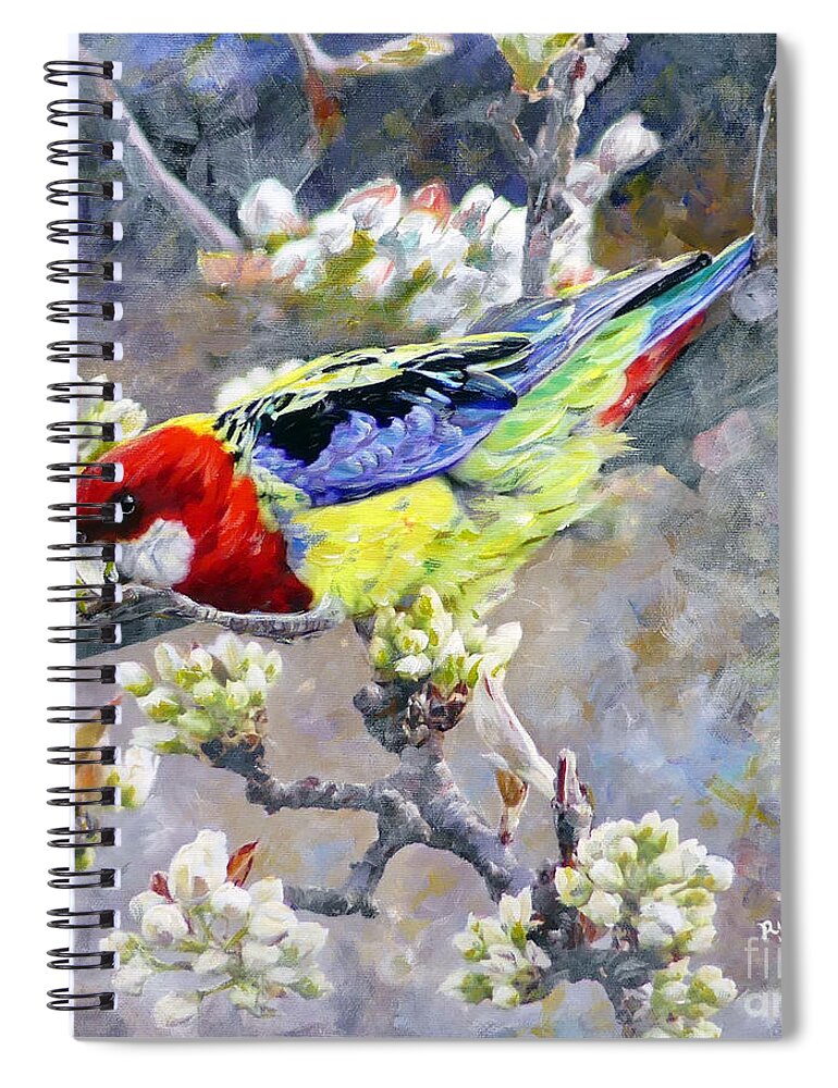 Easter Rosella Spiral Notebook featuring the painting Easter Rosella in Nashi Pear by Ryn Shell
