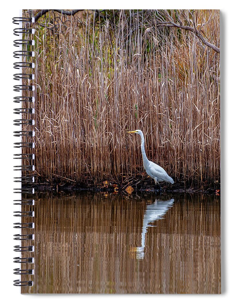 Shorebird Spiral Notebook featuring the photograph Egret Reflection 5831 by Cathy Kovarik