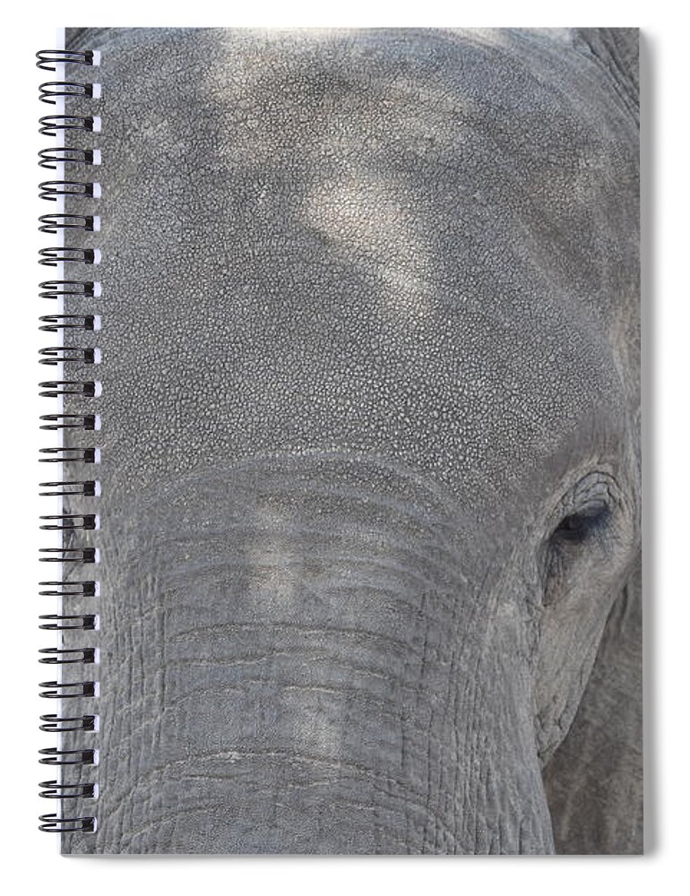 Elephant Spiral Notebook featuring the photograph Elephant Closeup by Ben Foster