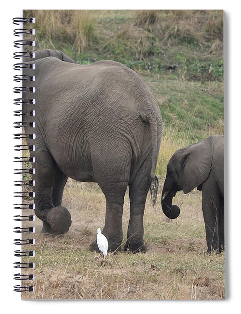 Elephant Spiral Notebook featuring the photograph Elephant Mom and Calf by Ben Foster