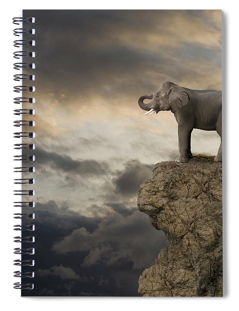 Risk Spiral Notebook featuring the photograph Elephant On The Edge Of A Cliff by John Lund
