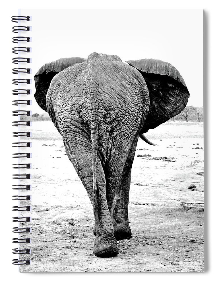 Kenya Spiral Notebook featuring the photograph Elephants Behind by David Cayless