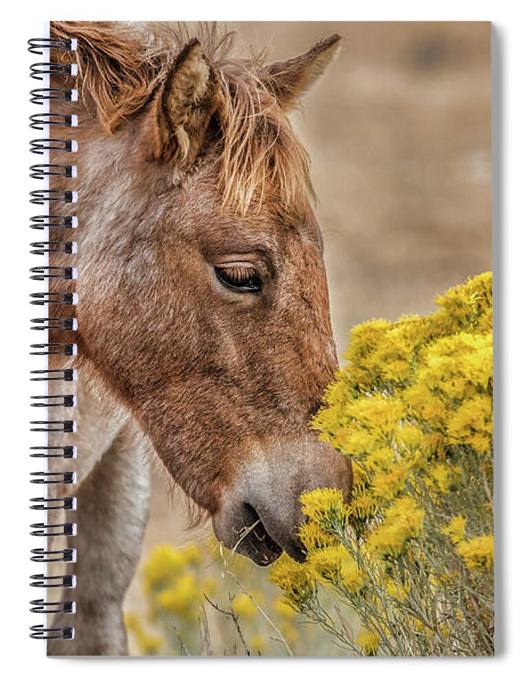  Spiral Notebook featuring the photograph Emmie bloom by John T Humphrey