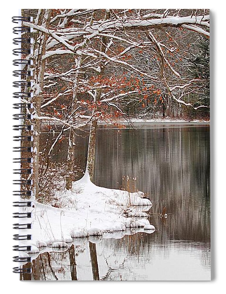 Wintertime Snow Trees Lake Bench Reflections Spiral Notebook featuring the photograph Empty Bench by Scott Burd