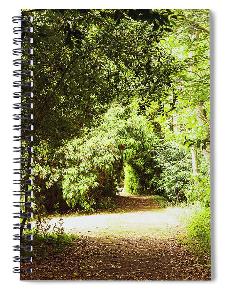 Woods Spiral Notebook featuring the photograph Enchanted Forest by Tanya C Smith