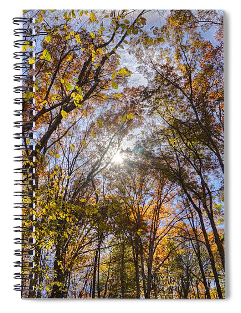 Trees Spiral Notebook featuring the photograph End of Summer by Jeremy Lankford