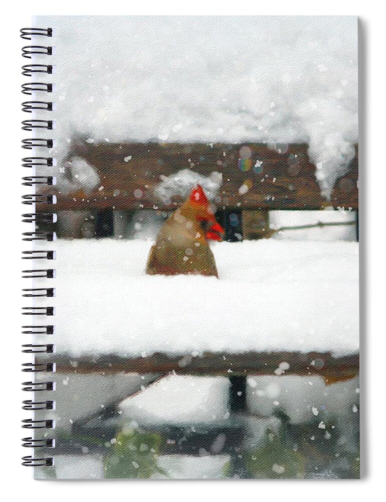 Snow Spiral Notebook featuring the photograph Enough Snow Already by Diane Lindon Coy