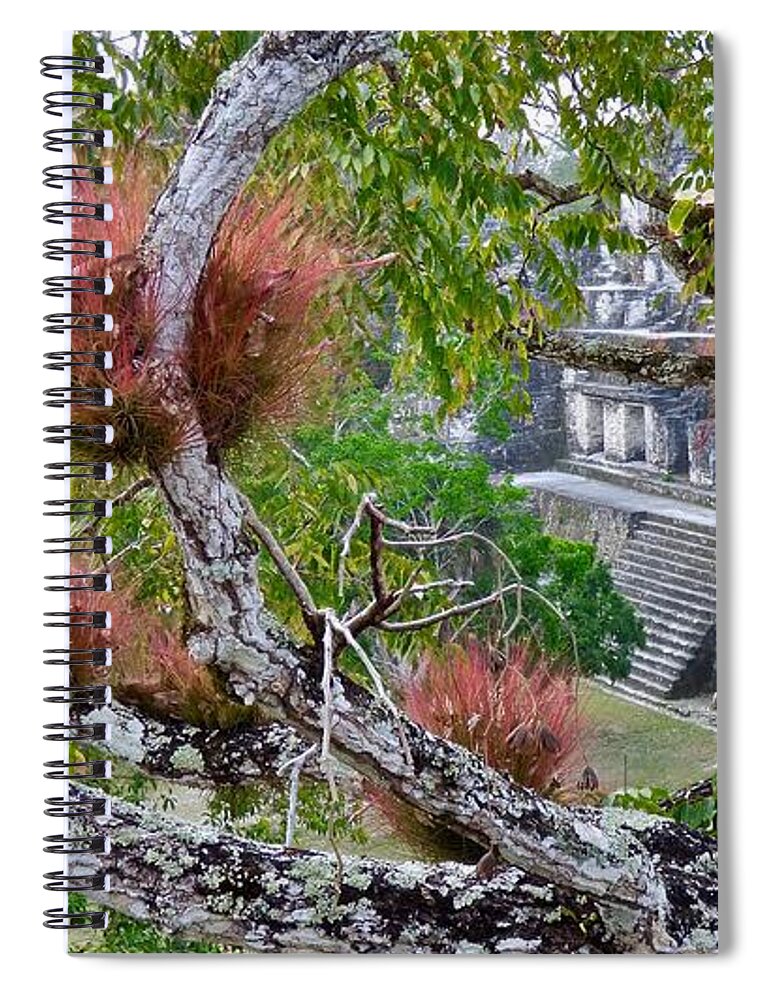 Guatemala Spiral Notebook featuring the photograph Epiphytes and Acropolis Central Tikal by Amelia Racca