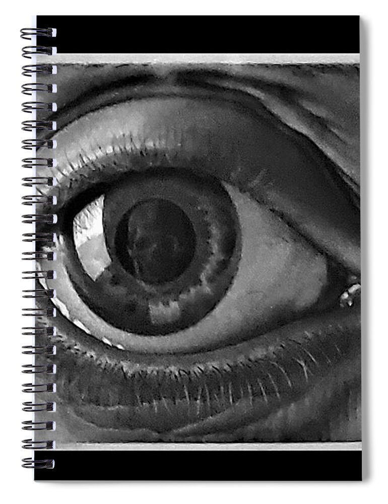 Maurits Cornelis Escher Spiral Notebook featuring the photograph Escher 96 by Rob Hans