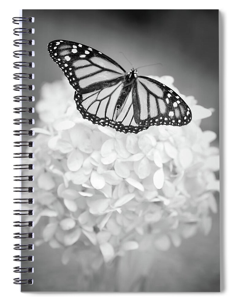 Butterfly Spiral Notebook featuring the photograph Essence by Michelle Wermuth