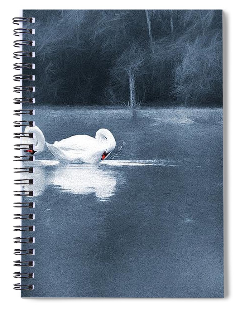 Swans Spiral Notebook featuring the photograph Evening Bath by Jaroslav Buna