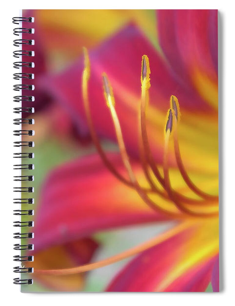 Flower Spiral Notebook featuring the photograph Everyday Pleasures by Amy Dundon