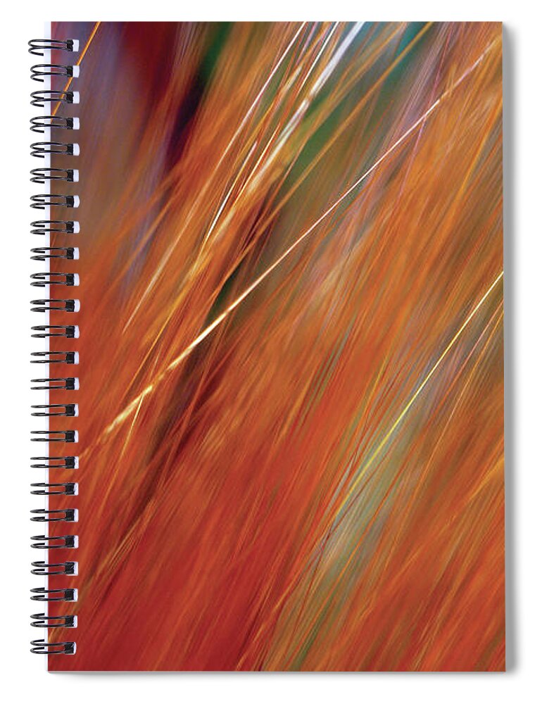 Large Group Of Objects Spiral Notebook featuring the photograph Extreme Close-up Of Wheat Growing In by Medioimages/photodisc