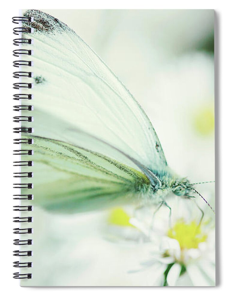 Black Color Spiral Notebook featuring the photograph Extreme Close Up Of White Butterfly & by Les Hirondelles Photography