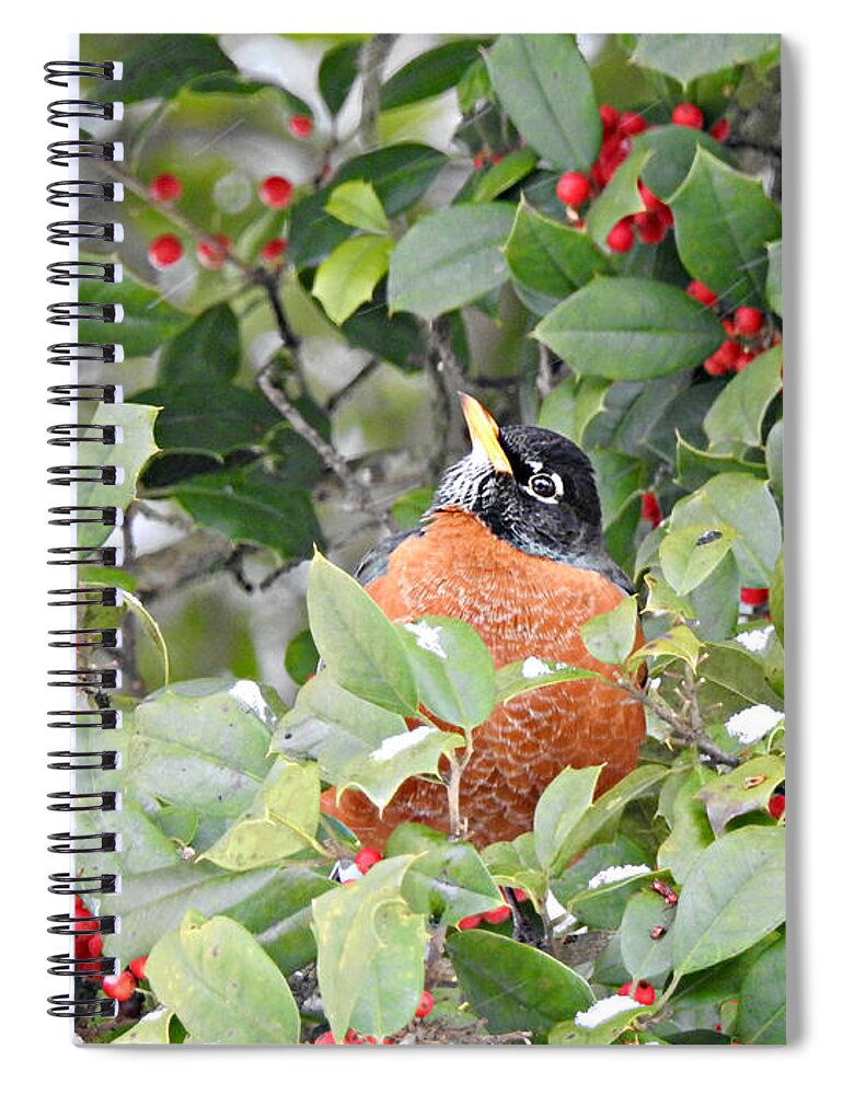 Eye Spy Spiral Notebook featuring the photograph Eye Spy by Dark Whimsy