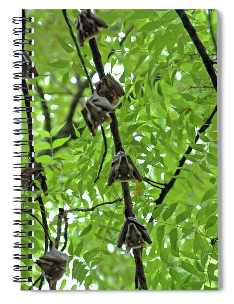 Eyes Spiral Notebook featuring the photograph Eyes Watching by Mark Duehmig
