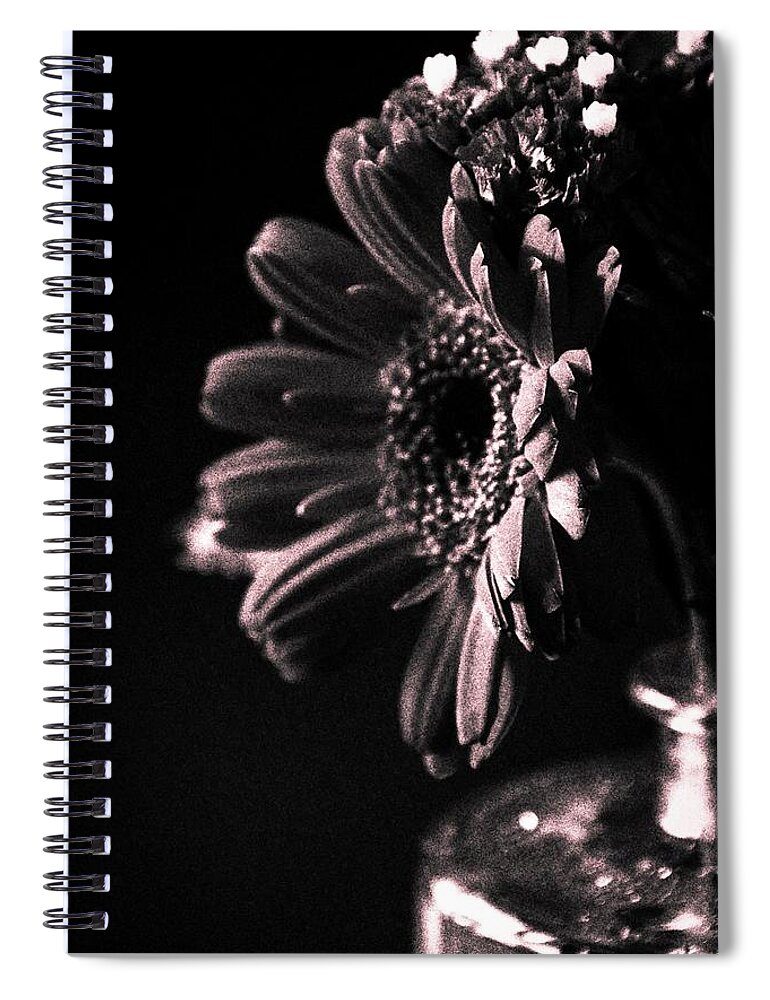  Spiral Notebook featuring the photograph Face Light by Terri Hart-Ellis