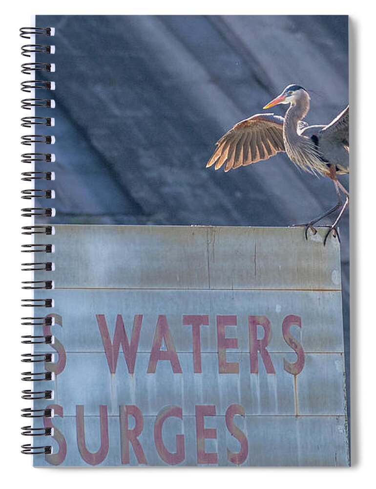 Great Blue Heron Spiral Notebook featuring the photograph Fair Warning by Marcy Wielfaert