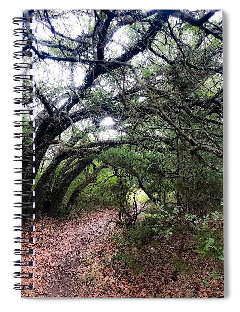 Landscape Spiral Notebook featuring the photograph Fairytale Lane by Kelly Thackeray