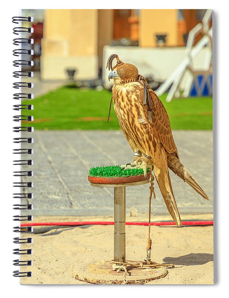 Falcon Spiral Notebook featuring the photograph Falcon at Falcon Souk by Benny Marty
