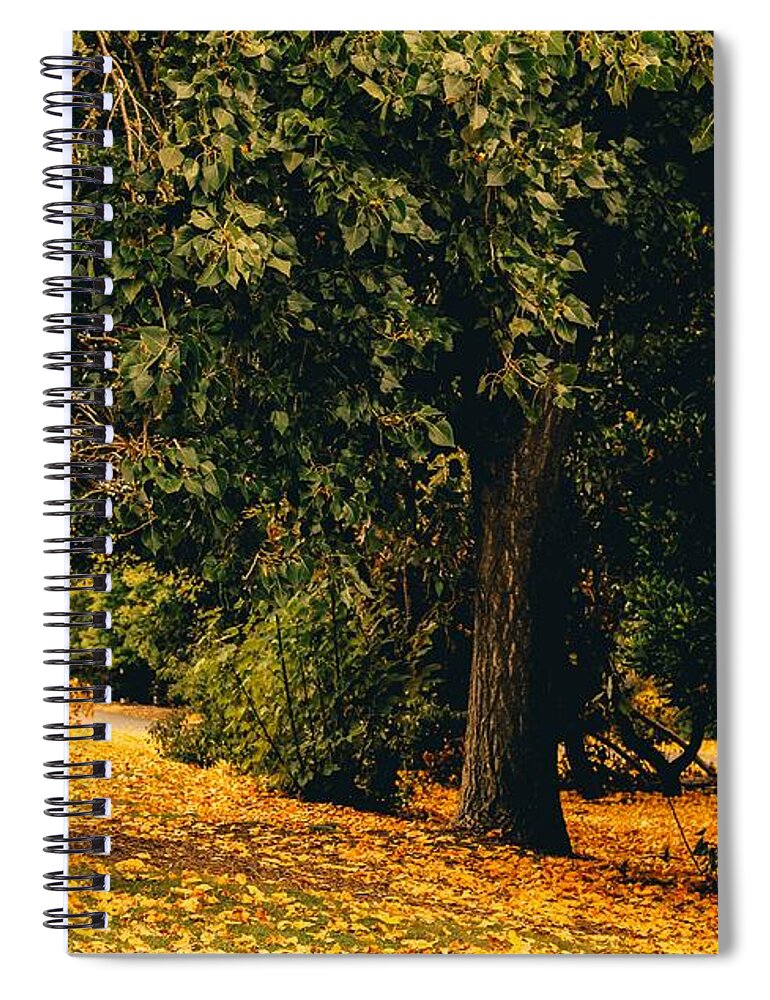 Fall Spiral Notebook featuring the photograph Fall by Anamar Pictures