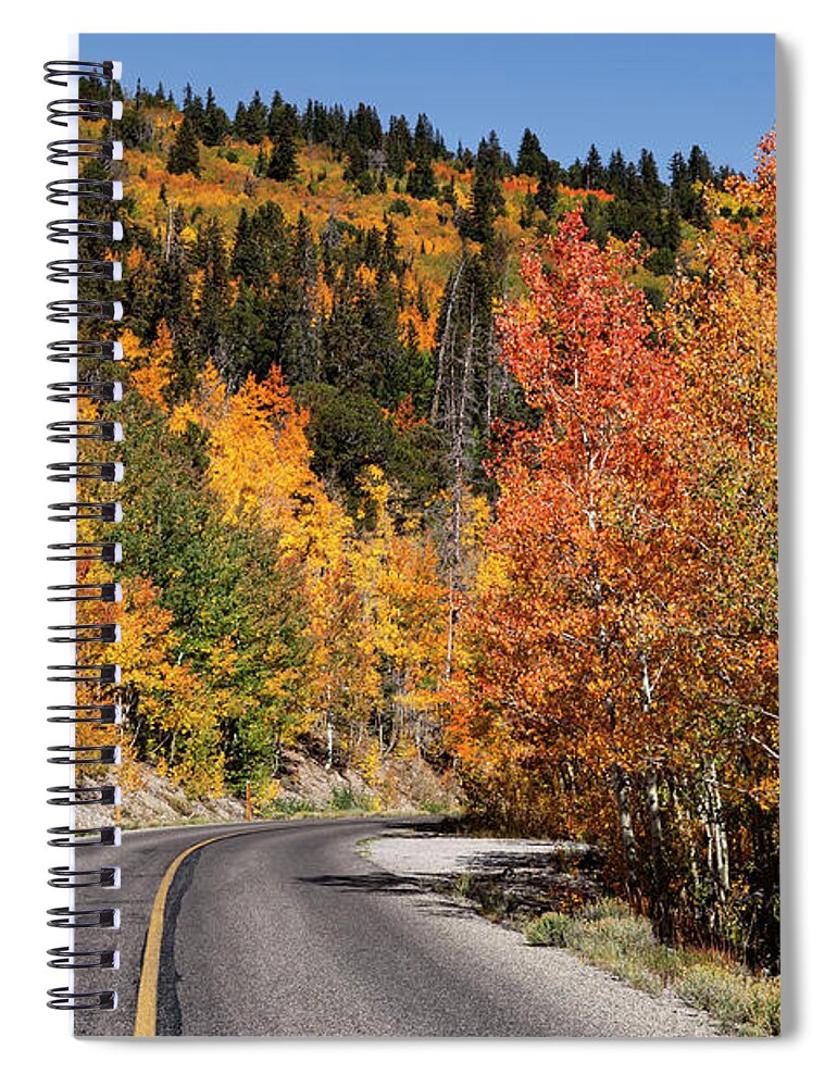 Aspens Spiral Notebook featuring the photograph Fall Colors on Wheeler Peak Road by Rick Pisio