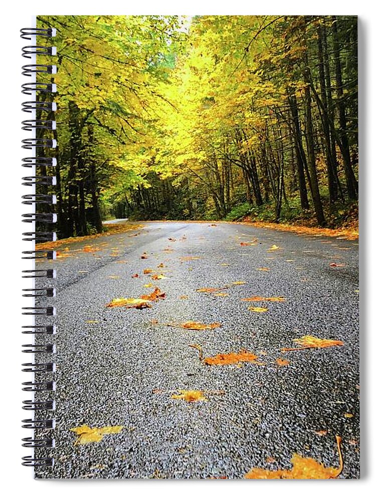 The Bright Yellows On The Fall Drive Were Stunning! Spiral Notebook featuring the photograph Fall Drive by Brian Eberly