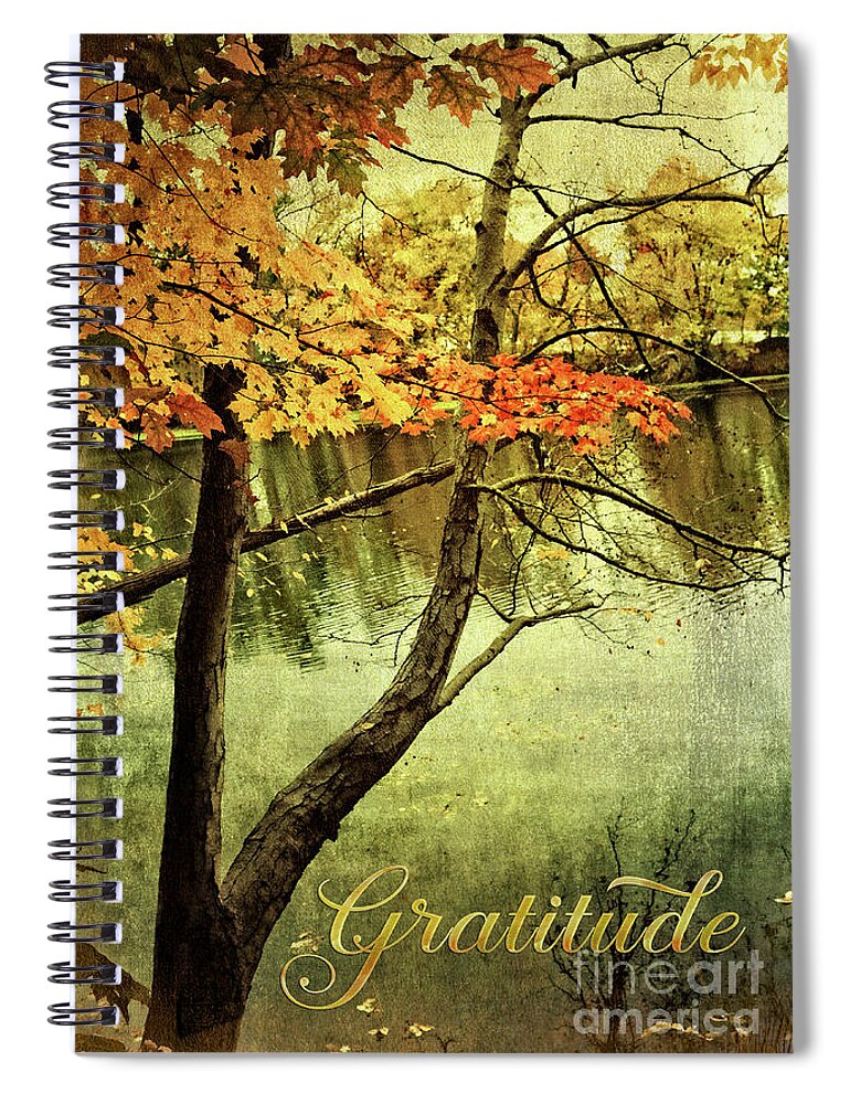 Gratitude Spiral Notebook featuring the photograph Fall Foliage Gratitude Artwork by Anita Pollak
