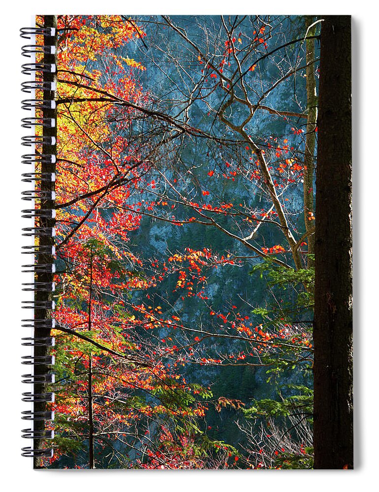 Bavaria Spiral Notebook featuring the photograph Fall in the Air by Raf Winterpacht