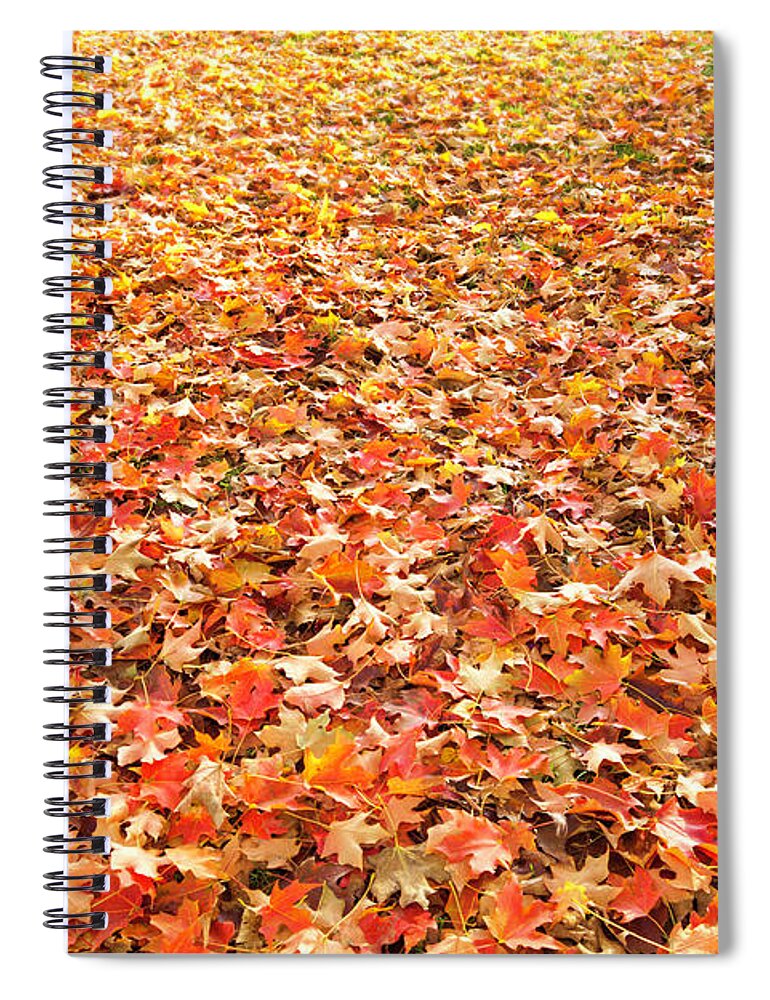 Scenics Spiral Notebook featuring the photograph Fall Leaves Background Spread Out Over by Steve Debenport