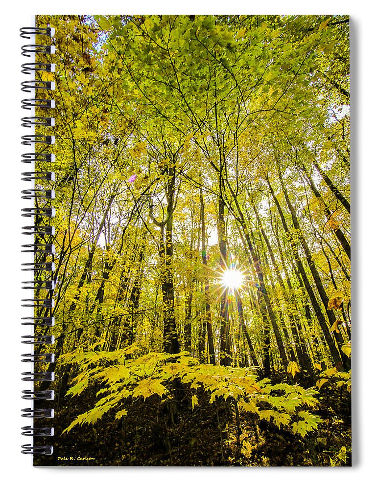 Fall Spiral Notebook featuring the photograph Fall Sunburst by Dale R Carlson