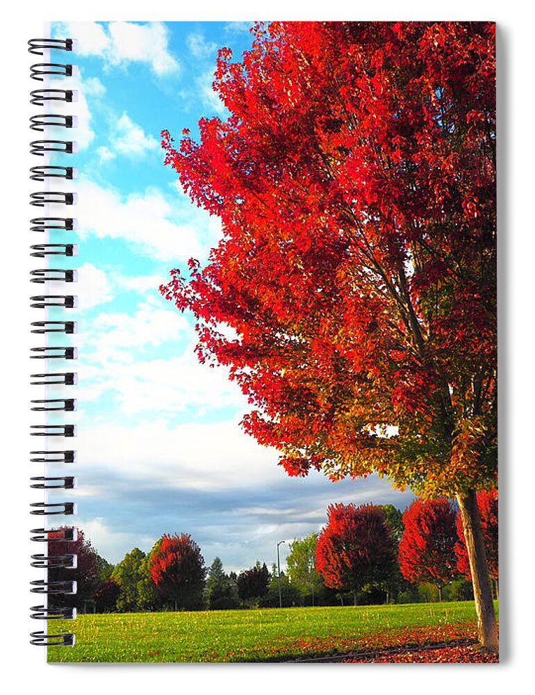 Season Spiral Notebook featuring the photograph Fall Sunset by Richard Thomas