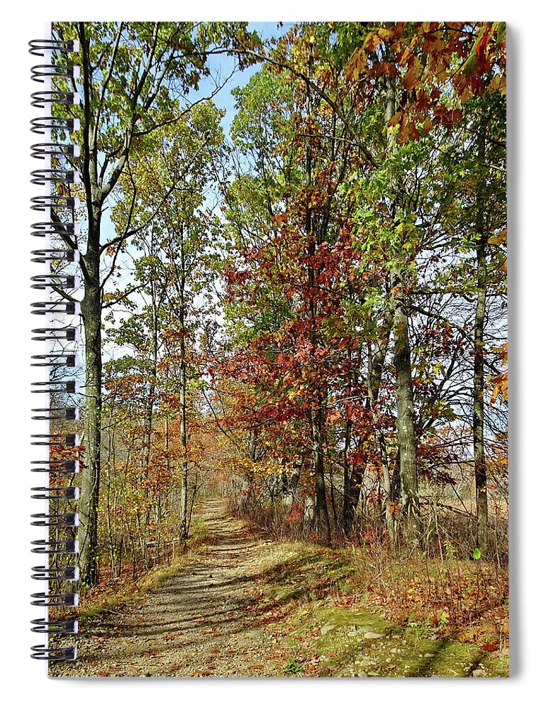 Fall Spiral Notebook featuring the photograph Fall Trail by Lyuba Filatova