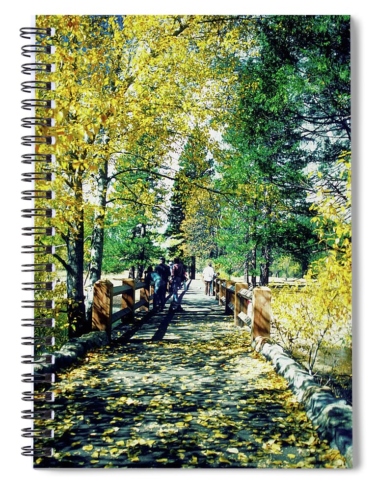 Non-urban Scene Spiral Notebook featuring the photograph Fallen Leaves On A Footbridge, Yosemite by Medioimages/photodisc