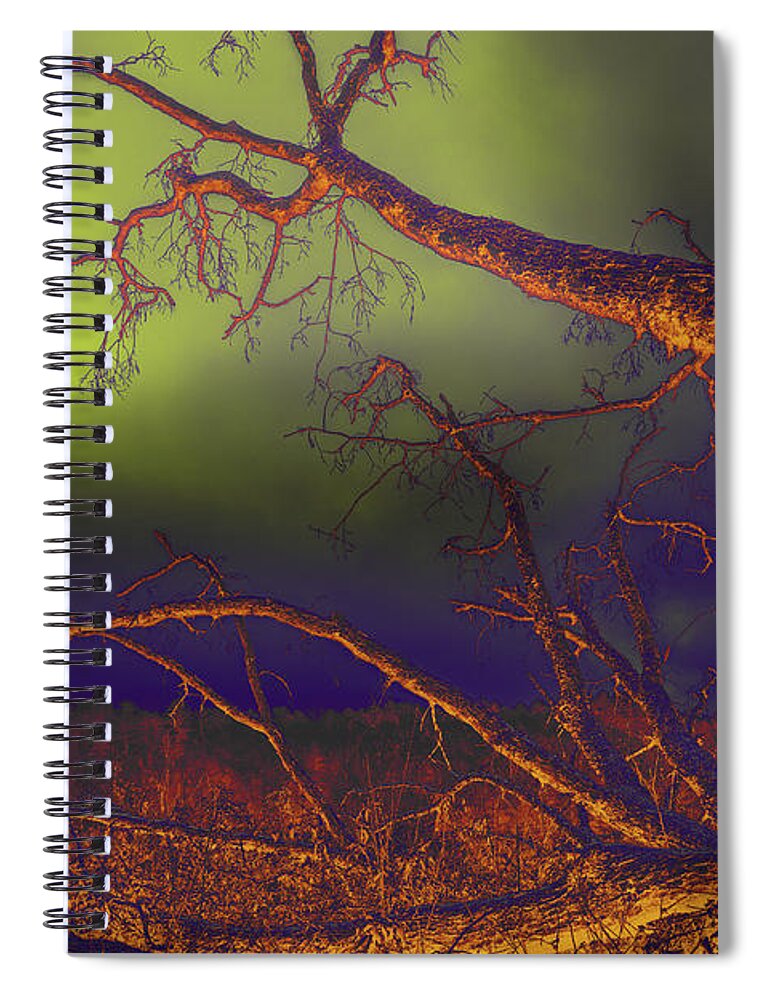Tree Spiral Notebook featuring the photograph Fallen Tree by Mike Eingle