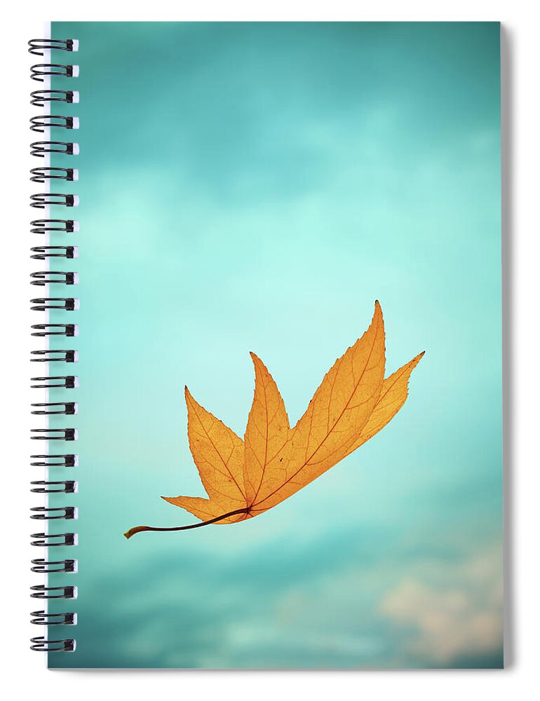 Curve Spiral Notebook featuring the photograph Falling Yellow Autumn Leaf by Borchee