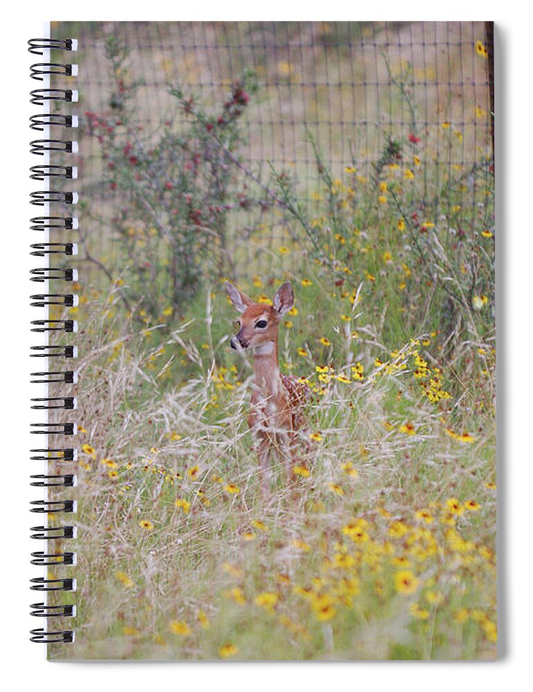 James Smullins Spiral Notebook featuring the photograph Fawn in the flowers by James Smullins