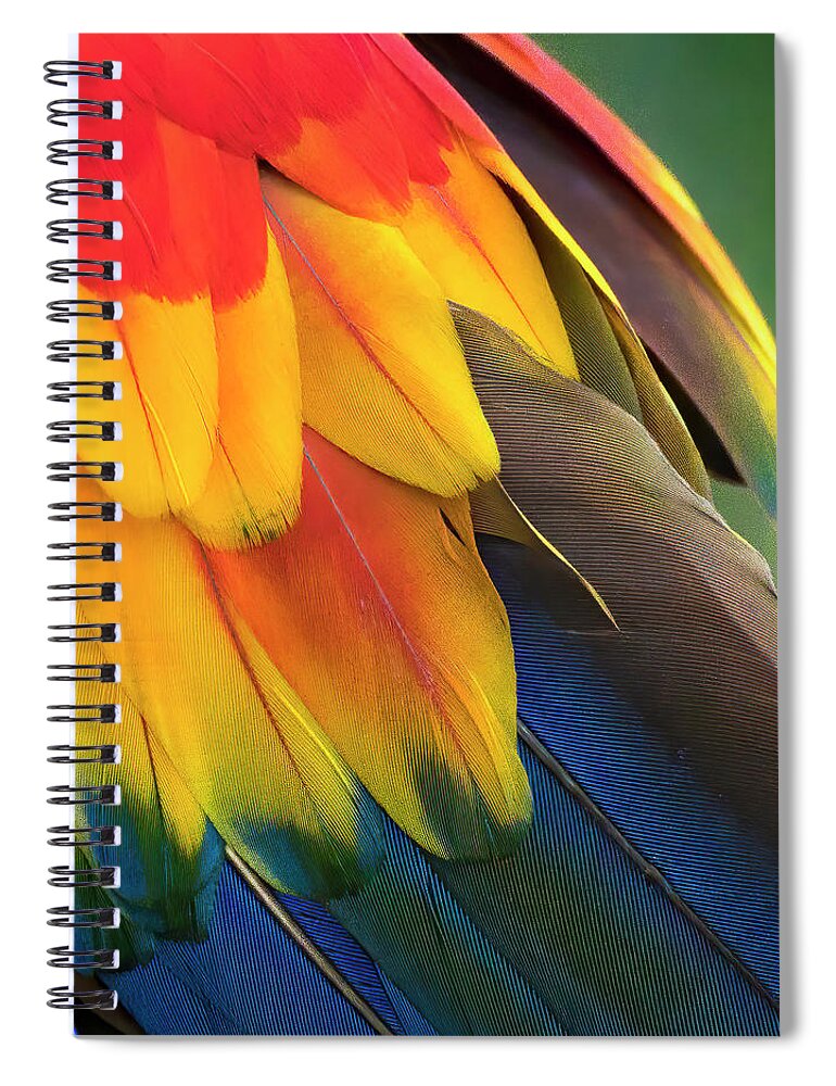 Feathers Spiral Notebook featuring the photograph Feather Fantasia 3 by Ginger Stein