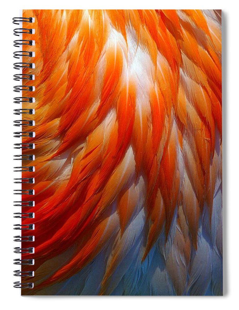 Natural Pattern Spiral Notebook featuring the photograph Feather by Photo By Lisi Cai