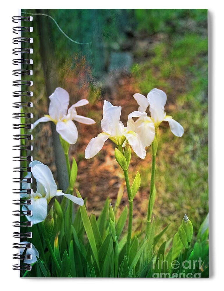 Flowers Spiral Notebook featuring the photograph February Blossoms by Joan Bertucci