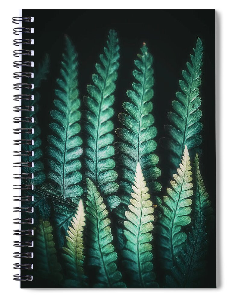 Fern Spiral Notebook featuring the photograph Fern #14 by Philippe Sainte-Laudy