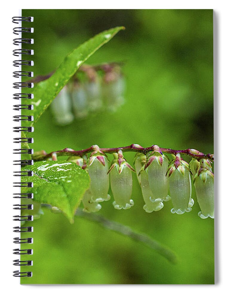 Fetter-bush Spiral Notebook featuring the photograph Fetter-bush by Louis Dallara