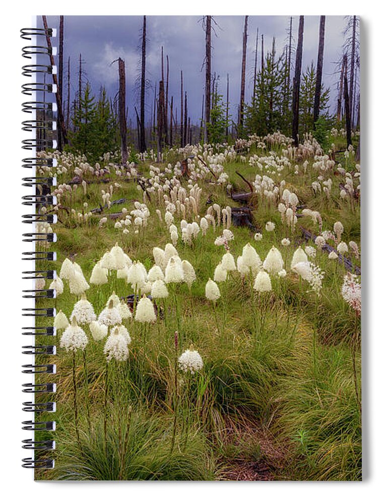 Flowers Spiral Notebook featuring the photograph Field of Bear Grass by Cat Connor