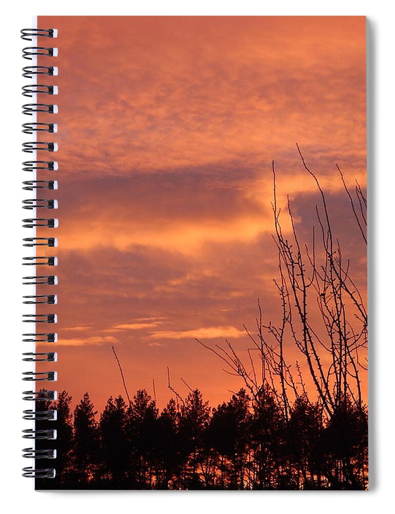 Forest Spiral Notebook featuring the photograph Fiery sunset on nature forest by Oleg Prokopenko