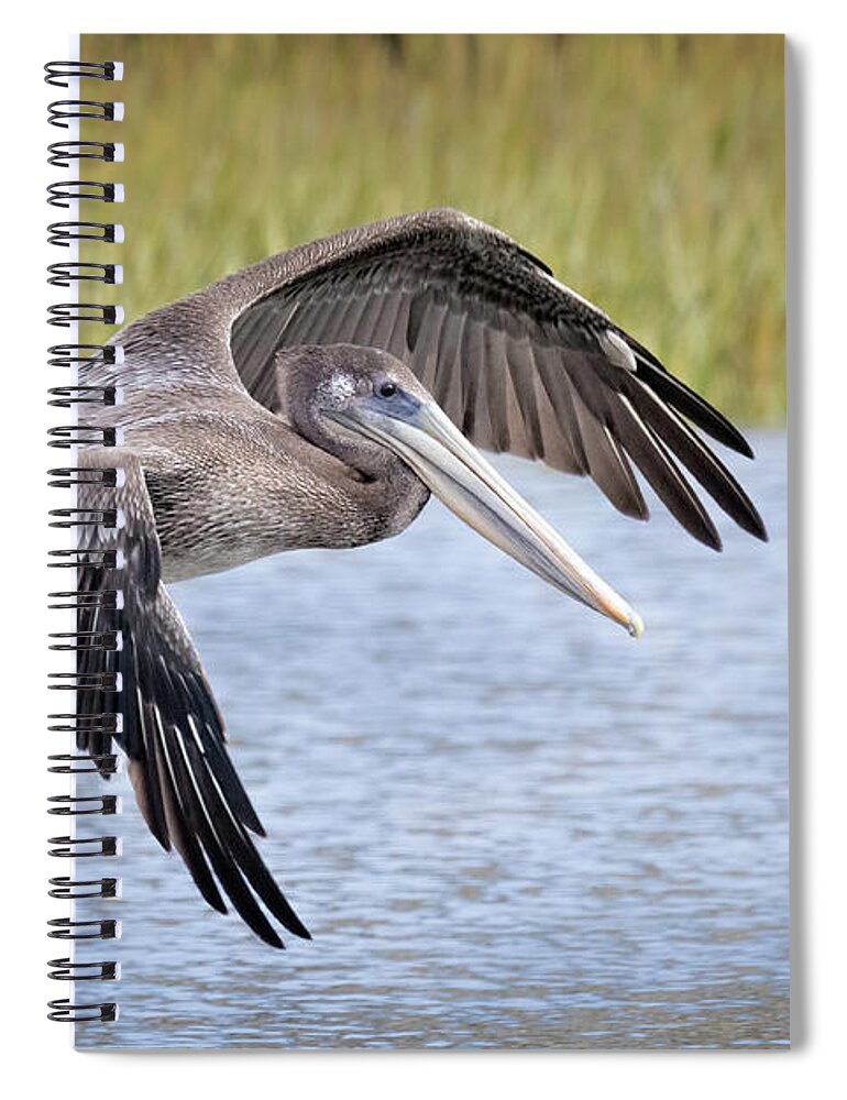 California Spiral Notebook featuring the photograph Final Aproach by James Capo